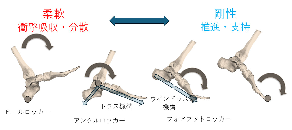 足の外科（インソール）画像